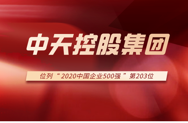 ag亚娱集团列2020中国企业500强第203位！